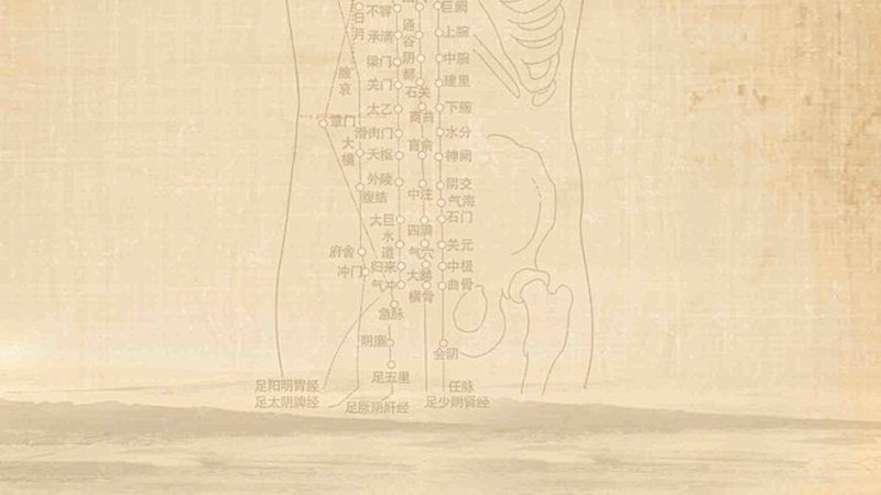 办公室养生保健器材推荐
