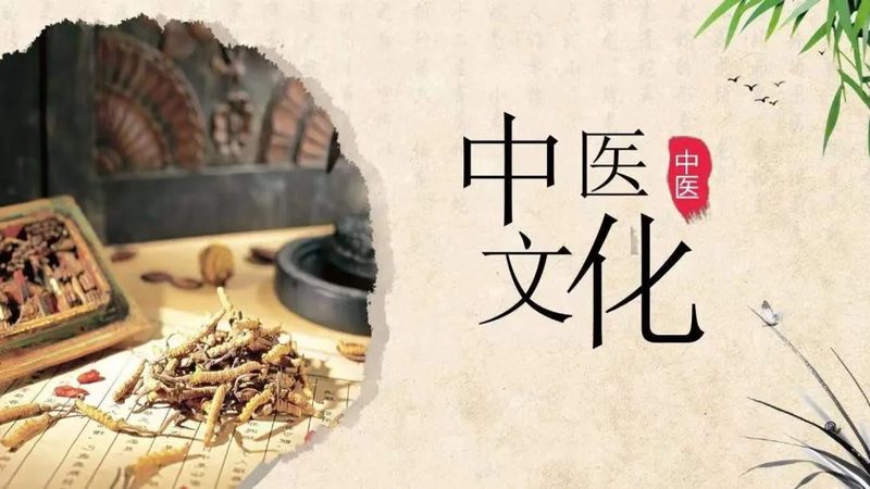 治未病与传统养生：探寻养生之道的本质区别